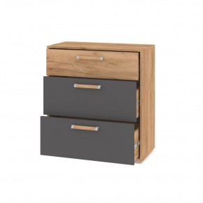 ФЛОРИДА Гостиная (модульная) дуб золотой/графит в Челябинске - chelyabinsk.mebel24.online | фото 10