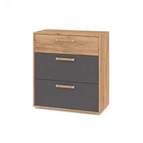 ФЛОРИДА Гостиная (модульная) дуб золотой/графит в Челябинске - chelyabinsk.mebel24.online | фото 8