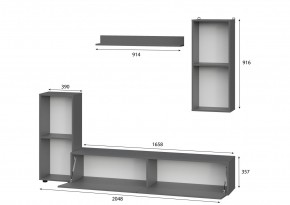 Гостиная МГС 10 (Графит) в Челябинске - chelyabinsk.mebel24.online | фото 2