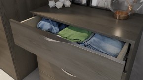 Комод Либерти ТД-297.04.02 в Челябинске - chelyabinsk.mebel24.online | фото 4