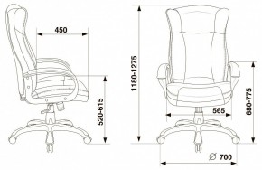 Кресло для руководителя Бюрократ CH-879N в Челябинске - chelyabinsk.mebel24.online | фото