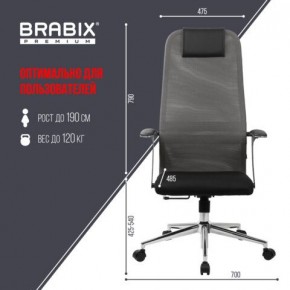 Кресло офисное BRABIX PREMIUM "Ultimate EX-801" хром, плотная двойная сетка Х2, черное/серое, 532918 в Челябинске - chelyabinsk.mebel24.online | фото 5