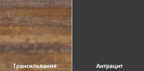 Кухонный гарнитур угловой Трансильвания 2400x1600 мм (Стол. 38 мм) Антрацит/Трансильвания в Челябинске - chelyabinsk.mebel24.online | фото 3