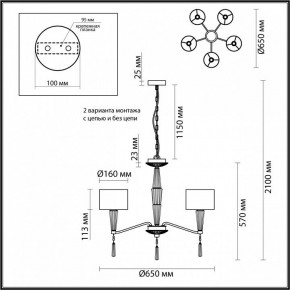 Люстра на штанге Odeon Light Latte 5403/5 в Челябинске - chelyabinsk.mebel24.online | фото 7