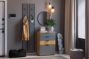 МЕБЕЛЬСОН К21 Прихожая в Челябинске - chelyabinsk.mebel24.online | фото 2