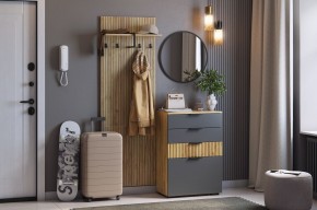 МЕБЕЛЬСОН К3 Прихожая (графит) в Челябинске - chelyabinsk.mebel24.online | фото