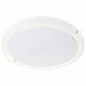 Накладной светильник Arte Lamp Biscotti A2679PL-72WH в Челябинске - chelyabinsk.mebel24.online | фото