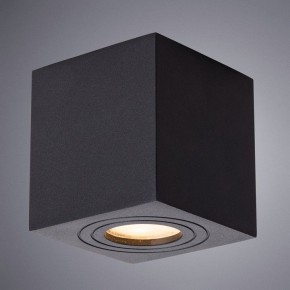 Накладной светильник Arte Lamp Galopin A1461PL-1BK в Челябинске - chelyabinsk.mebel24.online | фото 2