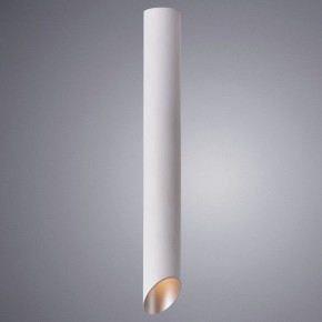 Накладной светильник Arte Lamp Pilon-Silver A1537PL-1WH в Челябинске - chelyabinsk.mebel24.online | фото 2