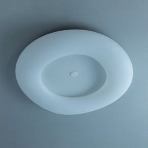Накладной светильник Citilux Стратус Смарт CL732A800G в Челябинске - chelyabinsk.mebel24.online | фото 10