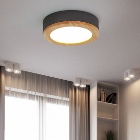Накладной светильник Imperiumloft Wudda Серый WUDDA01 в Челябинске - chelyabinsk.mebel24.online | фото 3