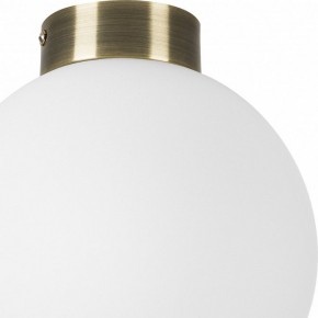 Накладной светильник Lightstar Globo 812021 в Челябинске - chelyabinsk.mebel24.online | фото 3