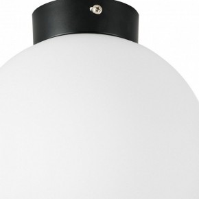 Накладной светильник Lightstar Globo 812027 в Челябинске - chelyabinsk.mebel24.online | фото 2