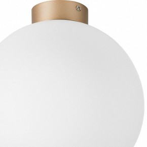 Накладной светильник Lightstar Globo 812033 в Челябинске - chelyabinsk.mebel24.online | фото 2