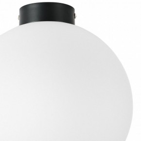 Накладной светильник Lightstar Globo 812037 в Челябинске - chelyabinsk.mebel24.online | фото 3