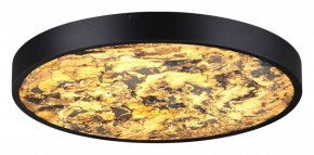 Накладной светильник Odeon Light Bergi 5064/40L в Челябинске - chelyabinsk.mebel24.online | фото 2