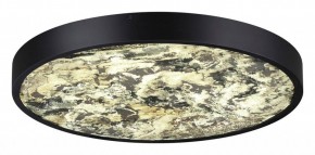 Накладной светильник Odeon Light Bergi 5064/40L в Челябинске - chelyabinsk.mebel24.online | фото 3