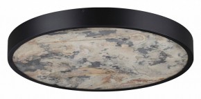 Накладной светильник Odeon Light Bergi 5064/40L в Челябинске - chelyabinsk.mebel24.online | фото 6