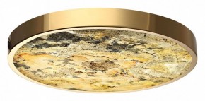 Накладной светильник Odeon Light Bergi 5079/40L в Челябинске - chelyabinsk.mebel24.online | фото 2