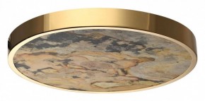 Накладной светильник Odeon Light Bergi 5079/40L в Челябинске - chelyabinsk.mebel24.online | фото 4