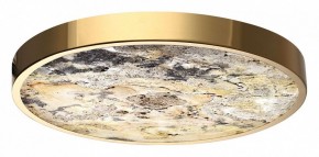Накладной светильник Odeon Light Bergi 5079/40L в Челябинске - chelyabinsk.mebel24.online | фото 6