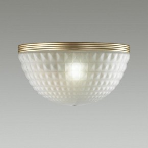 Накладной светильник Odeon Light Malaga 4936/1W в Челябинске - chelyabinsk.mebel24.online | фото 2