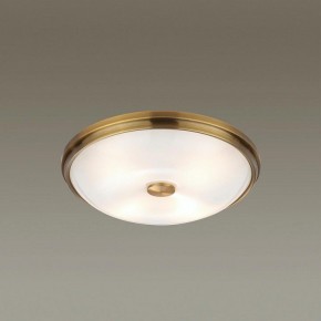 Накладной светильник Odeon Light Pelow 4956/4 в Челябинске - chelyabinsk.mebel24.online | фото 2