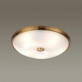 Накладной светильник Odeon Light Pelow 4956/5 в Челябинске - chelyabinsk.mebel24.online | фото 2