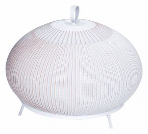 Настольная лампа декоративная Divinare Firefly 1808/33 TL-50 в Челябинске - chelyabinsk.mebel24.online | фото