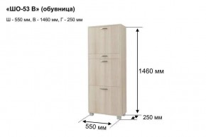 ШО-53 В тумба для обуви в Челябинске - chelyabinsk.mebel24.online | фото 8