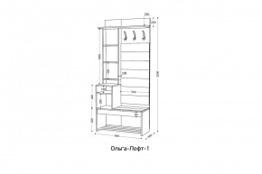 ОЛЬГА-ЛОФТ 1 Прихожая в Челябинске - chelyabinsk.mebel24.online | фото 3