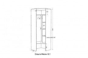 ОЛЬГА-МИЛК 9.1 Шкаф угловой без зеркала в Челябинске - chelyabinsk.mebel24.online | фото 2