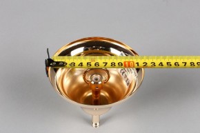 Подвесная люстра Aployt Daniele APL.701.03.12 в Челябинске - chelyabinsk.mebel24.online | фото 6