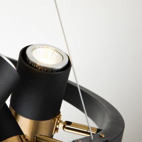 Подвесная люстра Favourite Light point 2997-9P в Челябинске - chelyabinsk.mebel24.online | фото 10
