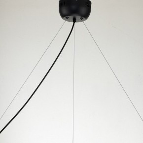 Подвесная люстра Favourite Light point 2997-9P в Челябинске - chelyabinsk.mebel24.online | фото 11