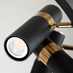 Подвесная люстра Favourite Light point 2997-9P в Челябинске - chelyabinsk.mebel24.online | фото 5