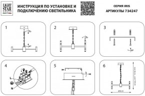 Подвесная люстра Lightstar Iris 734247 в Челябинске - chelyabinsk.mebel24.online | фото 4