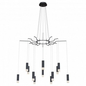 Подвесная люстра Maytoni Davida MOD035PL-12B в Челябинске - chelyabinsk.mebel24.online | фото 2