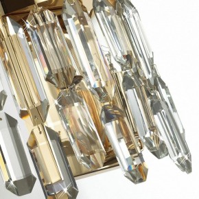 Подвесная люстра Odeon Light Dakisa 4986/12 в Челябинске - chelyabinsk.mebel24.online | фото 8