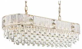Подвесная люстра Odeon Light Fiesta 5070/14 в Челябинске - chelyabinsk.mebel24.online | фото