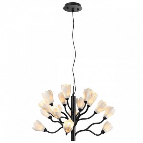 Подвесная люстра Odeon Light Gardi 5090/15 в Челябинске - chelyabinsk.mebel24.online | фото 2