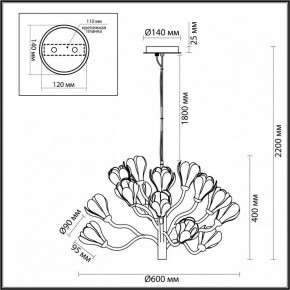 Подвесная люстра Odeon Light Gardi 5090/15 в Челябинске - chelyabinsk.mebel24.online | фото 6