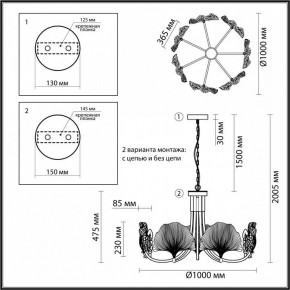 Подвесная люстра Odeon Light Ventaglio 4870/7 в Челябинске - chelyabinsk.mebel24.online | фото 6