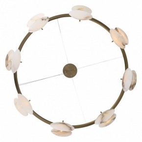 Подвесная люстра ST-Luce Clam SL1520.303.08 в Челябинске - chelyabinsk.mebel24.online | фото 4