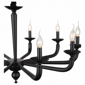 Подвесная люстра ST-Luce SL1114 SL1114.403.10 в Челябинске - chelyabinsk.mebel24.online | фото 4