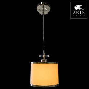 Подвесной светильник Arte Lamp Furore A3990SP-1CC в Челябинске - chelyabinsk.mebel24.online | фото 3