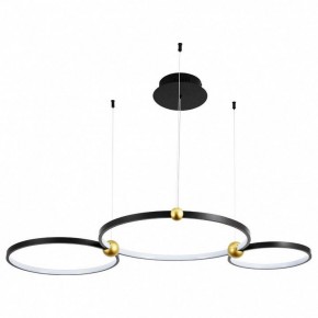 Подвесной светильник Divinare Amadeo 1123/04 SP-75 в Челябинске - chelyabinsk.mebel24.online | фото
