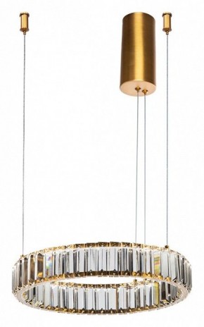 Подвесной светильник Divinare Renata 1135/17 SP-25 в Челябинске - chelyabinsk.mebel24.online | фото 2