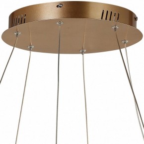 Подвесной светильник Favourite Hexagon 2103-14P в Челябинске - chelyabinsk.mebel24.online | фото 5