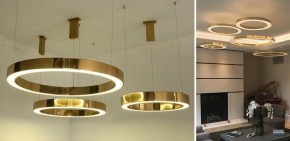 Подвесной светильник Imperiumloft Light Ring Horizontal 40.1454-80 в Челябинске - chelyabinsk.mebel24.online | фото 2